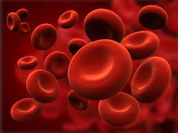 Bloodborne Pathogens & Infection Control&nbsp;for&nbsp;Massage Therapists&nbsp;